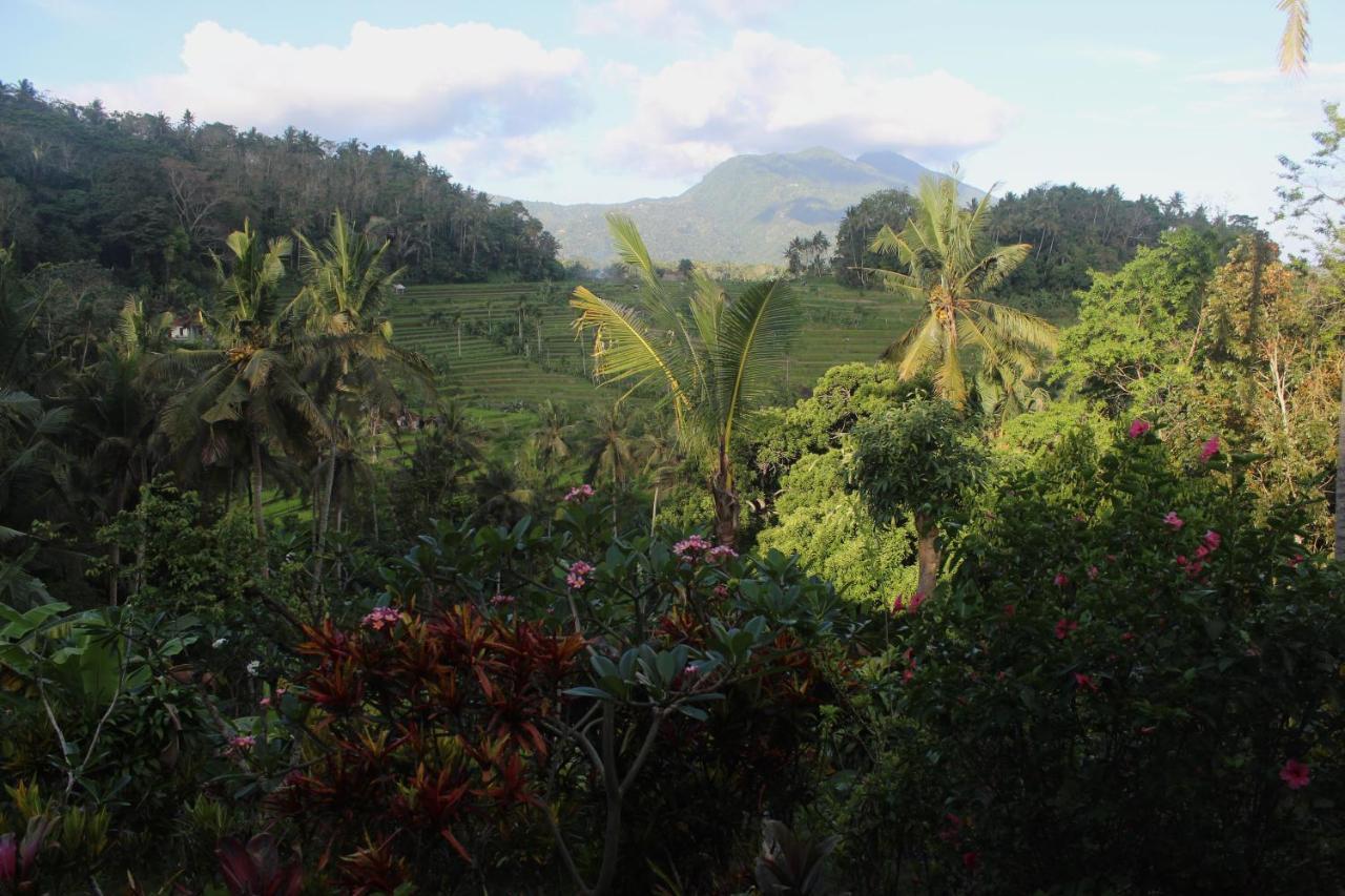 Pondok Lembah Dukuh Homestay Karangasem Eksteriør bilde