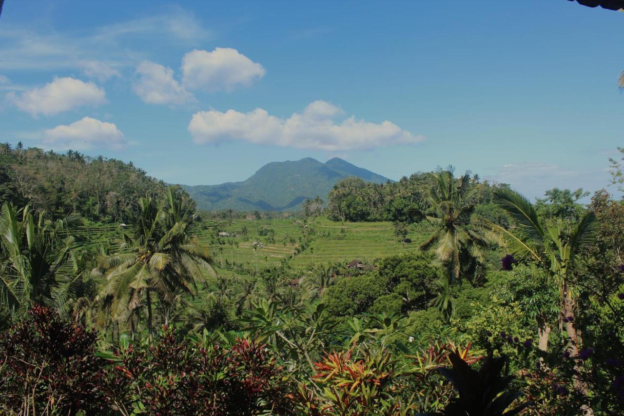 Pondok Lembah Dukuh Homestay Karangasem Eksteriør bilde