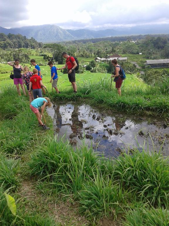 Pondok Lembah Dukuh Homestay Karangasem Eksteriør bilde